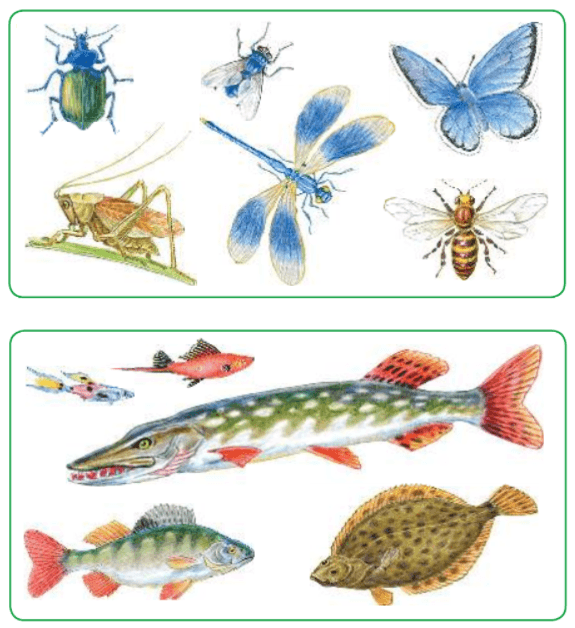 Задание рисунок 1