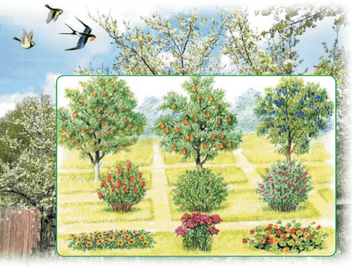 Задание рисунок 1