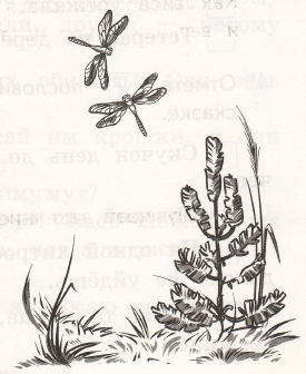 Задание рисунок 1