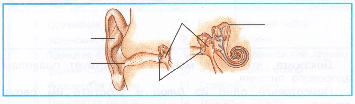 Задание рисунок 2